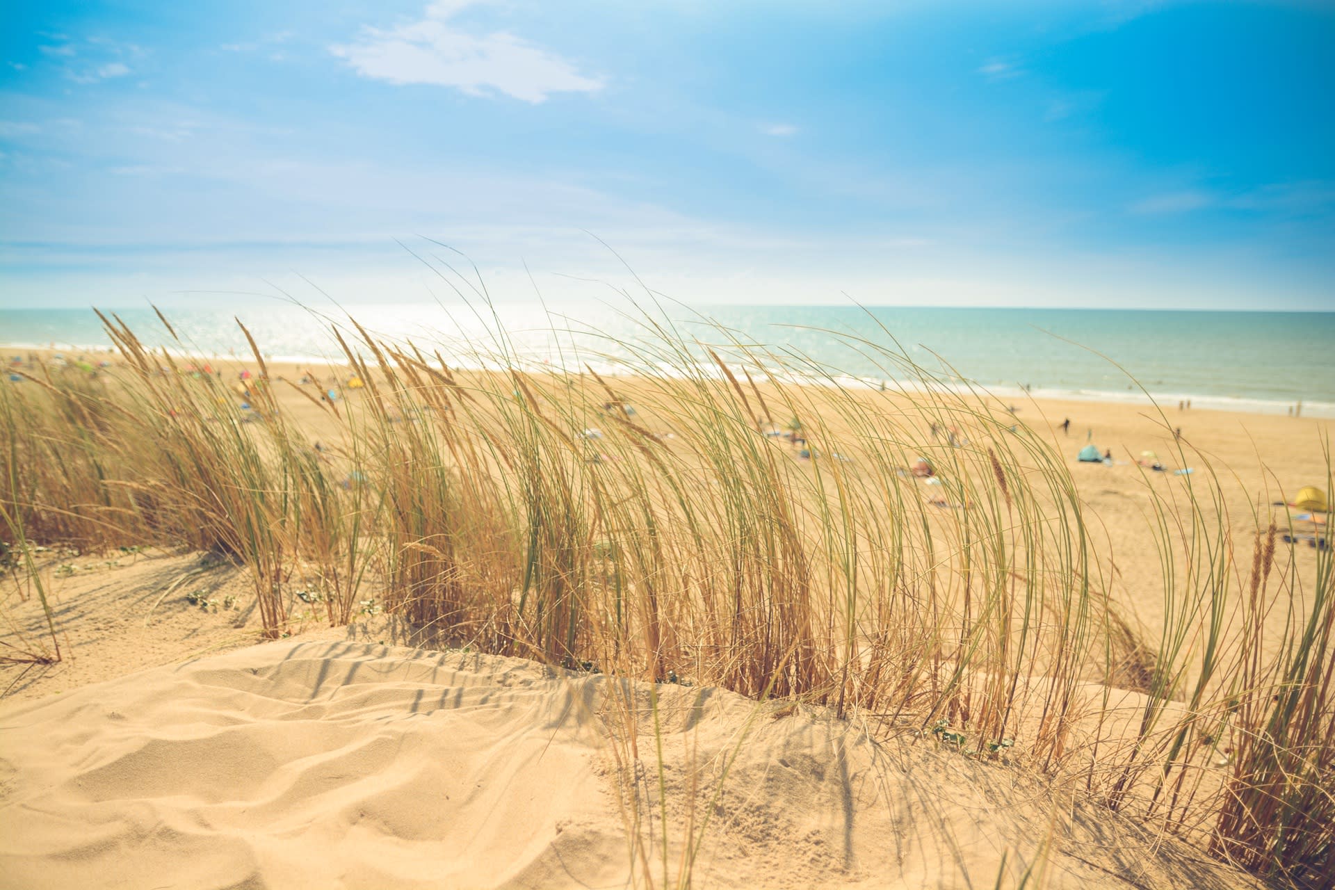 sea-beach-sand-sun rental car transponders beaches